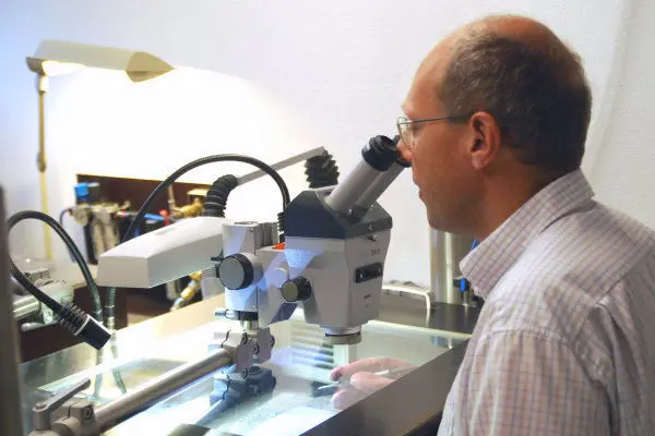 Holzmaden_Preparation_02