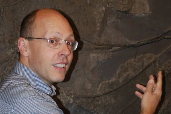 Holzmaden_Fossils_Expert Holzmaden_Fossils_Expert