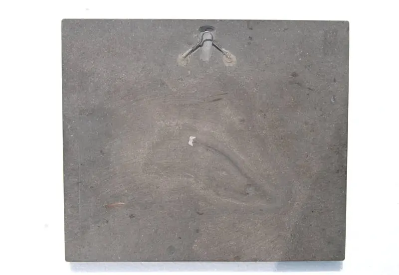 Seirocrinus subangularis_Holzmaden_01d