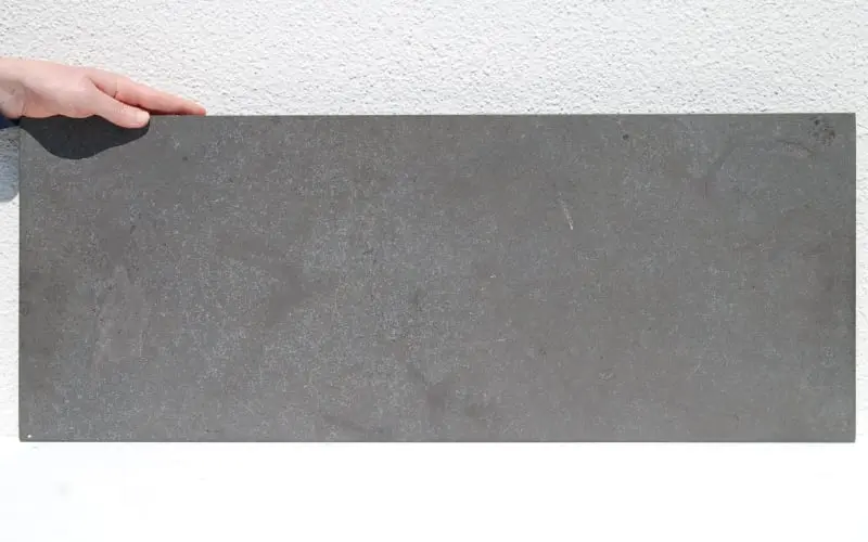 Dapedium caclatus; Loligosepia aalensis; Holzmaden; 02d