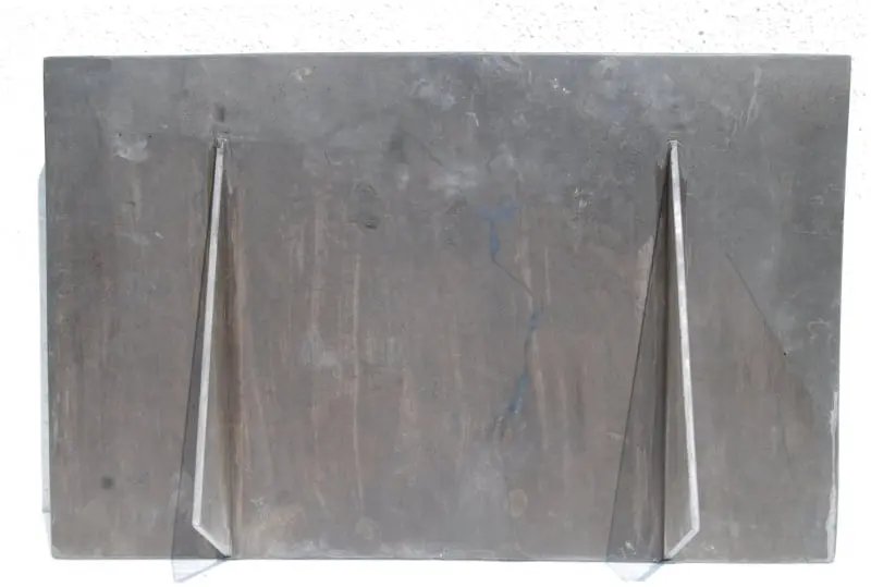 Ichthyosaurus_Holzmaden_04d