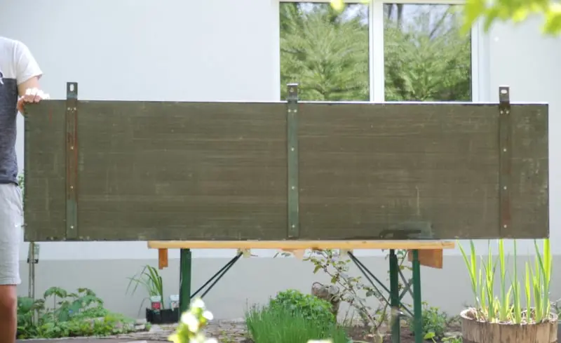 Stenopterygius quadriscissus_Holzmaden_12h